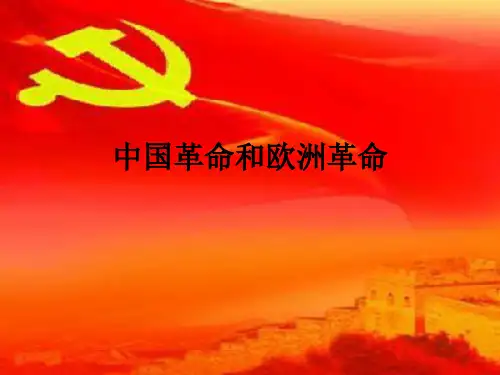 中国革命和欧洲革命
