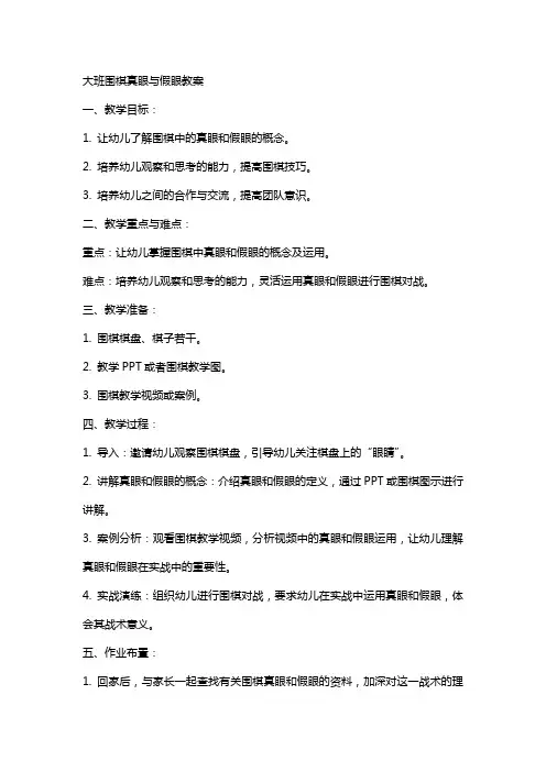 关于大班围棋真眼与假眼教案