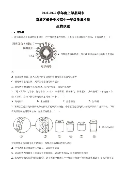 2021-2022学年湖北省武汉市新洲区部分学校高一上学期期末考试质量检测生物试卷含详解