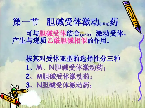 202X年胆碱受体激动药和作用于胆碱酯酶药