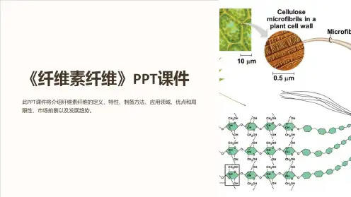 《纤维素纤维》课件