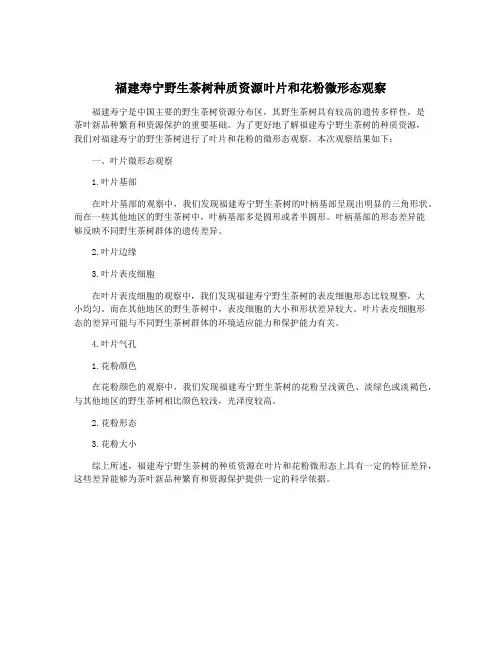 福建寿宁野生茶树种质资源叶片和花粉微形态观察