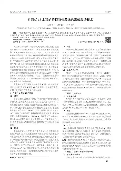 Y两优17水稻的特征特性及绿色高效栽培技术