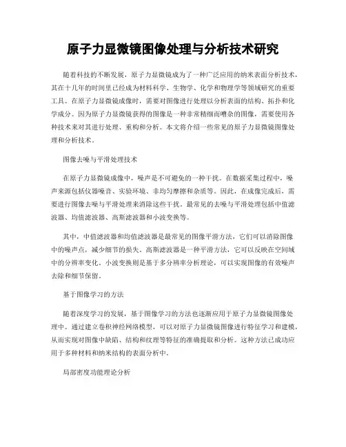 原子力显微镜图像处理与分析技术研究