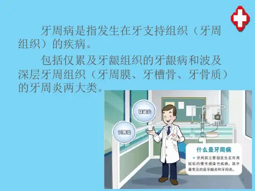 牙周病概述—牙周组织应用解剖和生理(口腔内科)