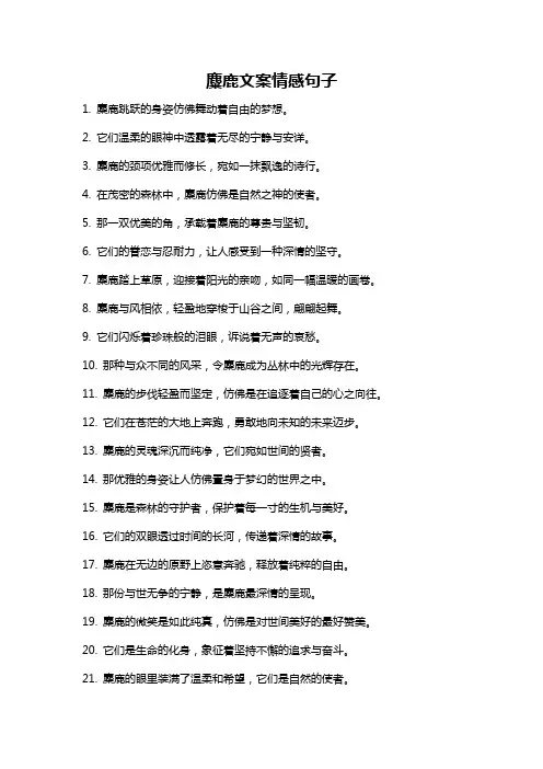 麋鹿文案情感句子