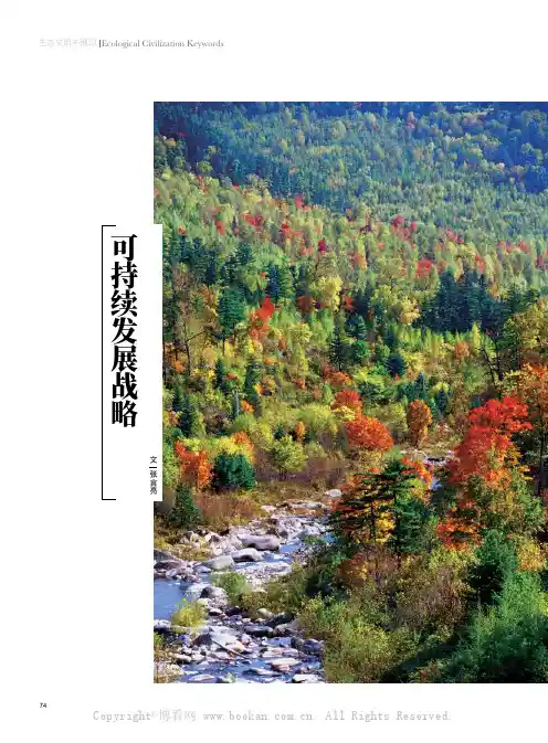 可持续发展战略