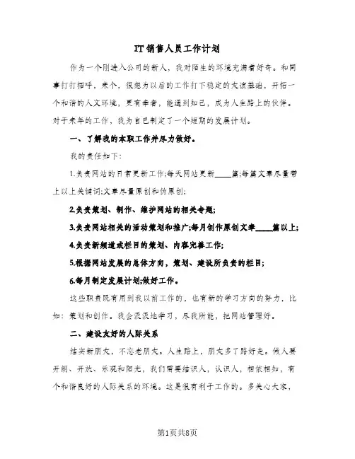 IT销售人员工作计划（3篇）