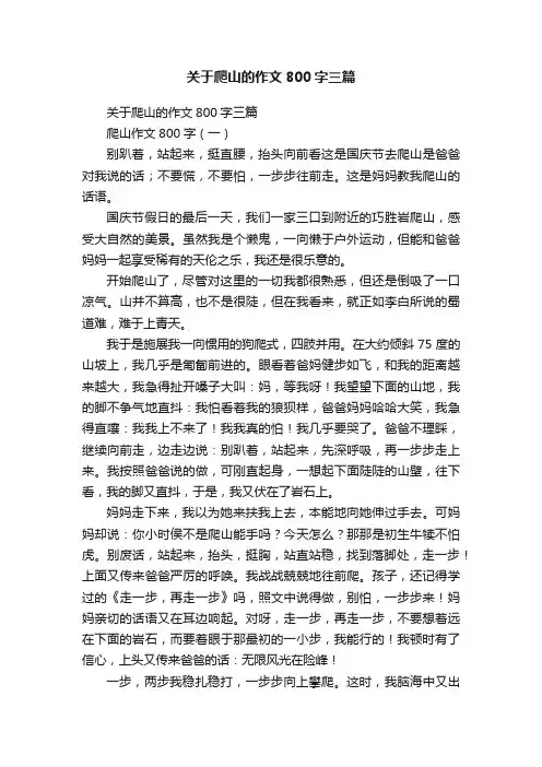 关于爬山的作文800字三篇