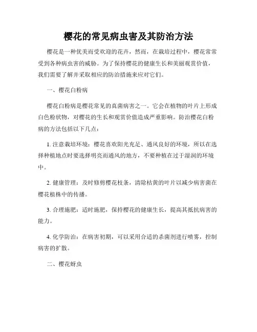 樱花的常见病虫害及其防治方法