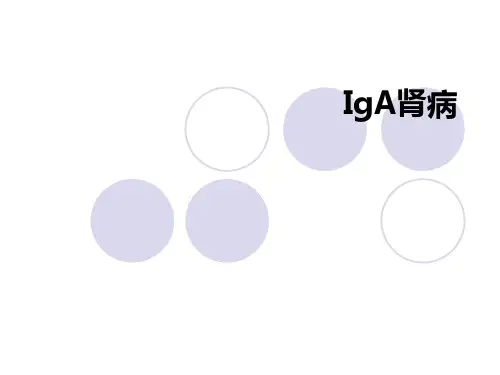内科学IgA肾病