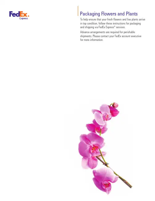 FedEx 花卉包装指南说明书