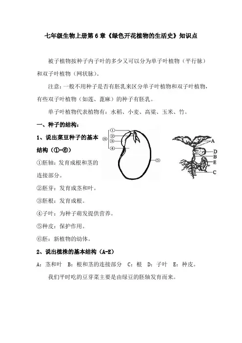 七年级生物上册第6章《绿色开花植物的生活史》知识点mf