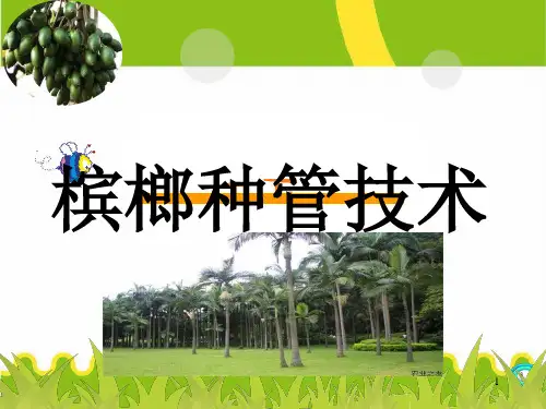 槟榔种植管理技术实用版ppt课件