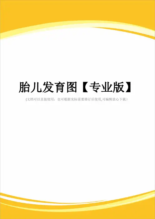 胎儿发育图【专业版】