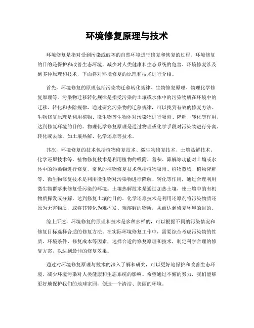 环境修复原理与技术