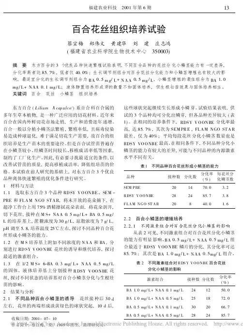 百合花丝组织培养试验