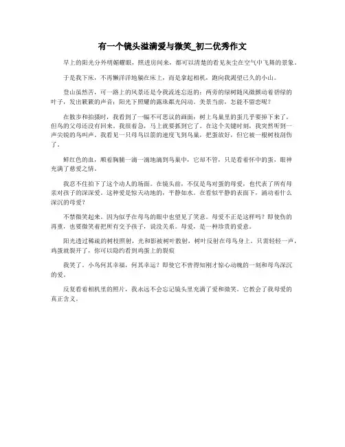 有一个镜头溢满爱与微笑_初二优秀作文