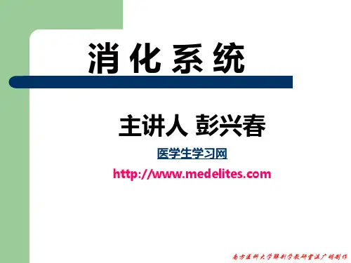 系统解剖学PPT课件---消化系统