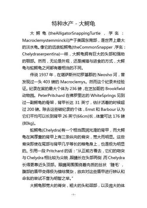 特种水产-大鳄龟