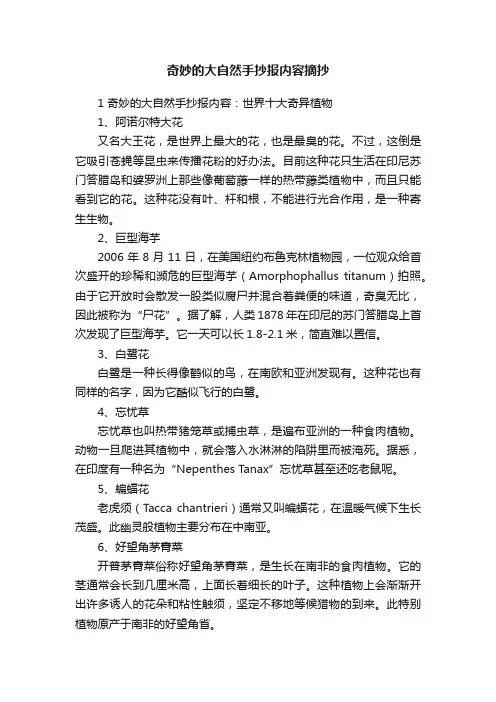 奇妙的大自然手抄报内容摘抄