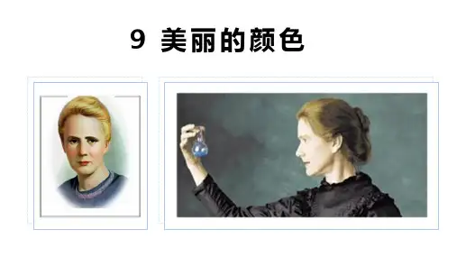 《美丽的颜色》ppt课件