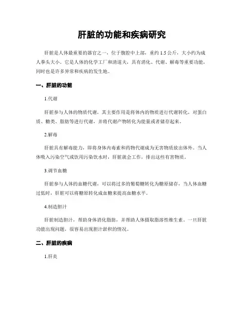 肝脏的功能和疾病研究