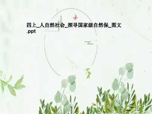 四上_人自然社会_探寻国家级自然保_图文