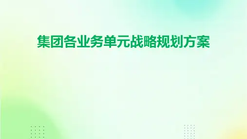 集团各业务单元战略规划方案
