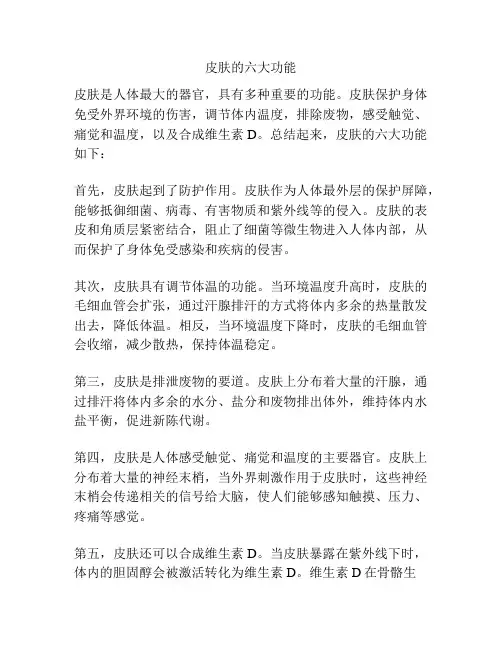 皮肤的六大功能