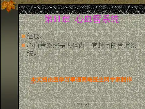 心血管系统解剖学(1)