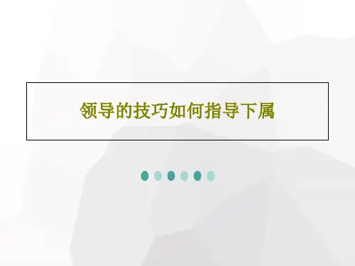 领导的技巧如何指导下属共28页