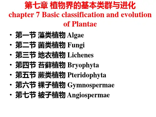第七章 植物界的基本类群与分类