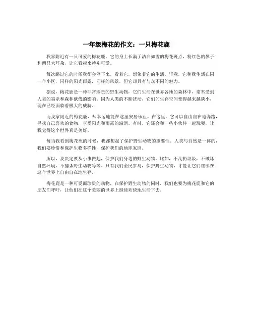 一年级梅花的作文：一只梅花鹿