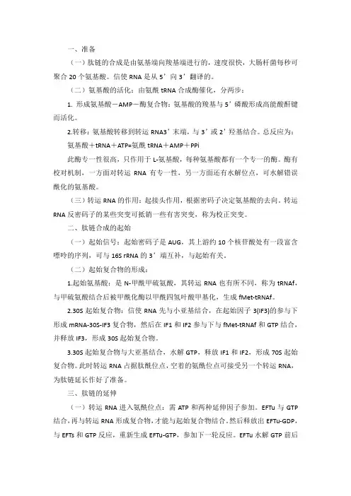 蛋白质的合成与运转翻译的过程