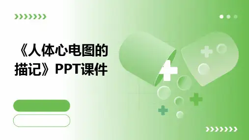 《人体心电图的描记》课件
