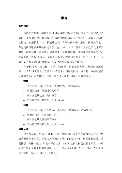 银杏,习性,形态,药用,其他