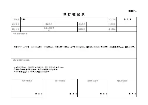 (上海市新版)试打桩记录