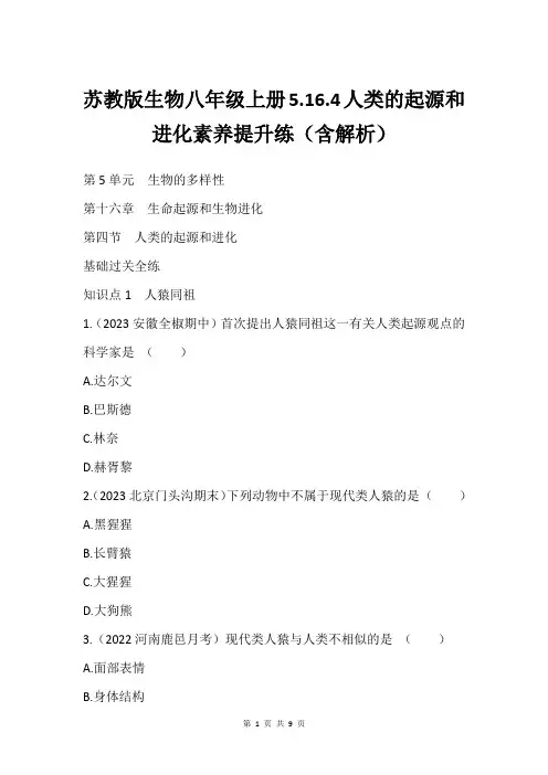 苏教版生物八年级上册5.16.4人类的起源和进化素养提升练(含解析)