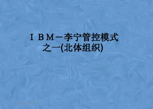 IBM-李宁管控模式之一(北体组织)