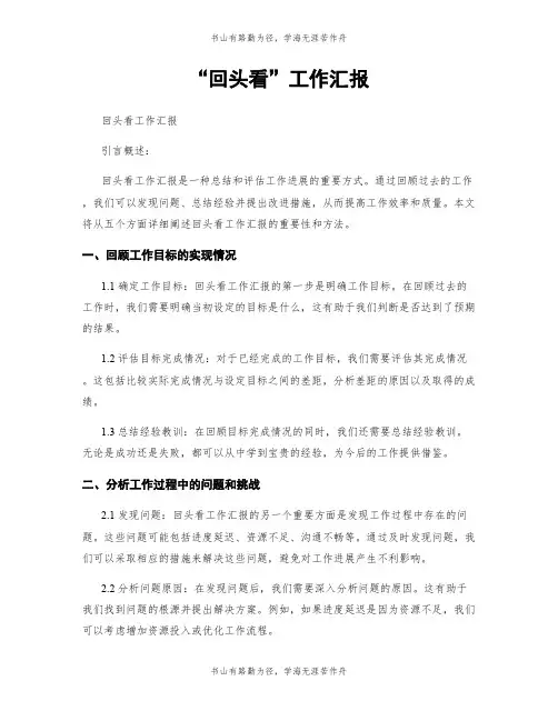 “回头看”工作汇报