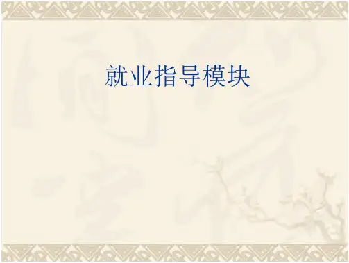 职业发展与就业指导  职业发展与就业指导(41页)