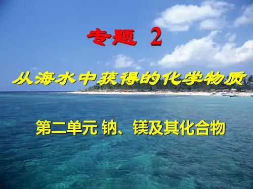 苏教化学必修1专题2第二单元 钠、镁及其化合物(共16张PPT)