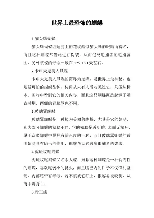 世界上最恐怖的蝴蝶
