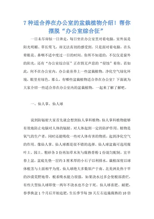 7种适合养在办公室的盆栽植物介绍!帮你摆脱“办公室综合征”