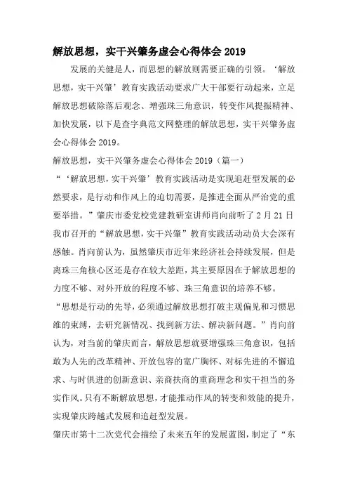 解放思想实干兴肇务虚会心得体会-最新年文档