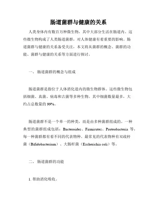 肠道菌群与健康的关系