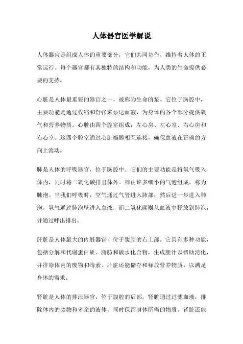 人体器官医学解说
