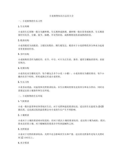小麦植物知识点总结大全