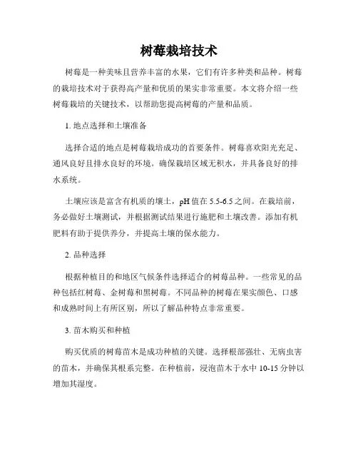 树莓栽培技术